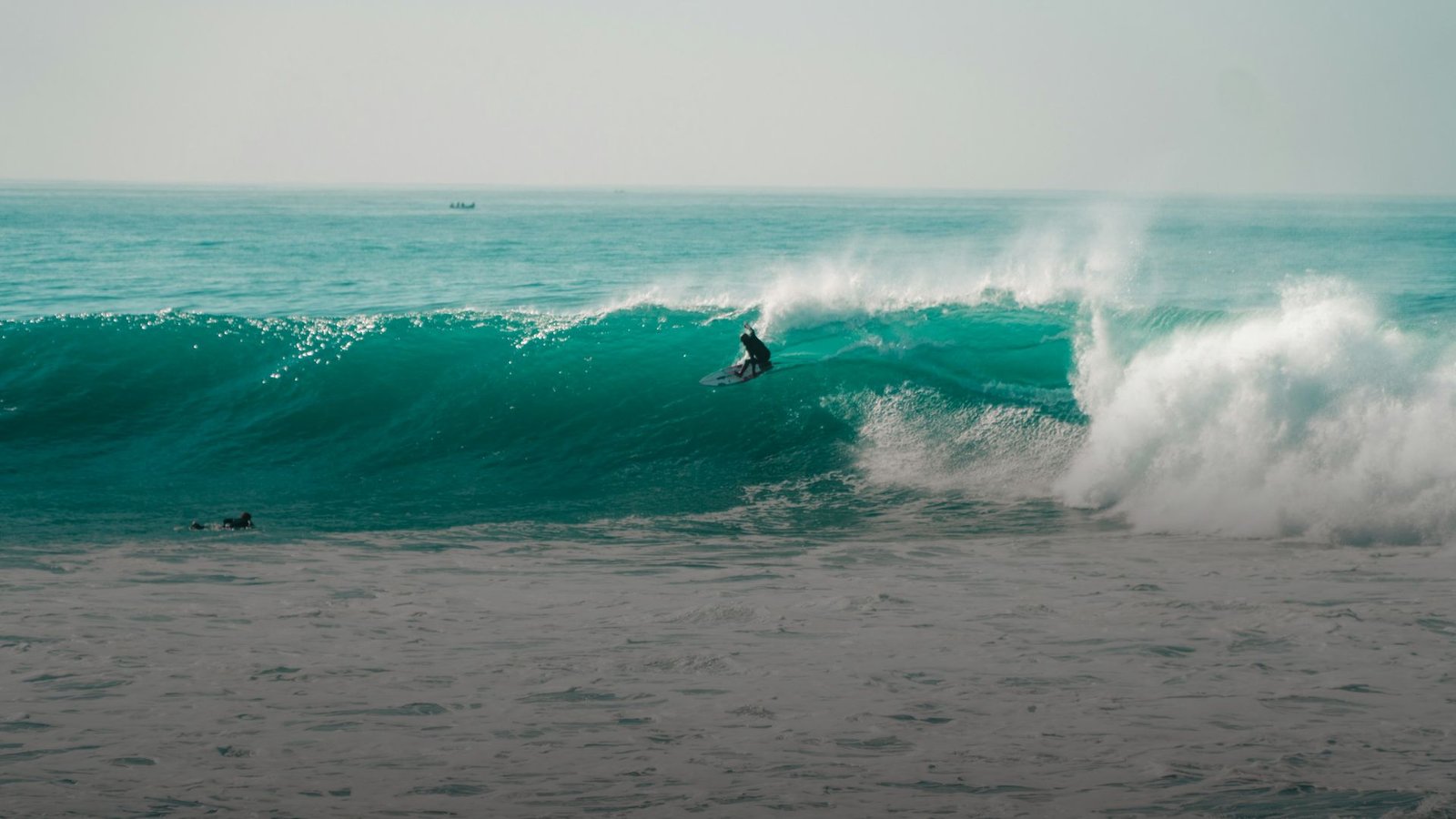 Ein Surfer in einer grünen Welle am Anchor Point, Taghazout